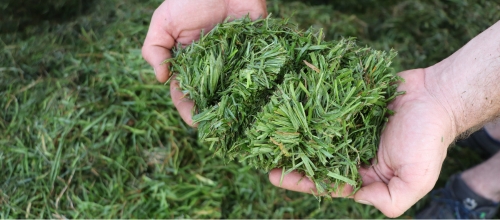 22 mm – trumpiausias pjaustinio dydis rinkoje