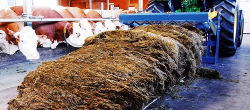 Efektyvus ritinių pjovimas ir paskirstymas (RBS)