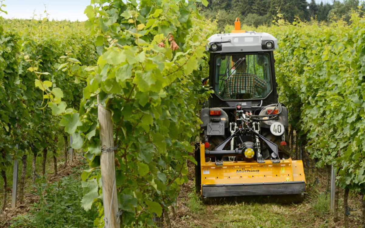 Mulcher, optimiert für Weinbau, Gemüse und Hopfen.