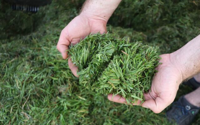 Trumpiausias pjaustinio ilgis rinkoje – 22 mm aukščiausiai pašaro kokybei.