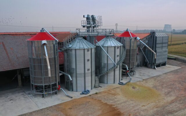 Galutinis produktas po džiovinimo ciklo pasiekia aukščiausią kokybės lygį net ir tokioms jautrioms kultūroms kaip ryžiai.